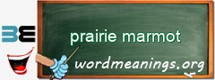 WordMeaning blackboard for prairie marmot